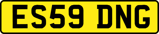 ES59DNG