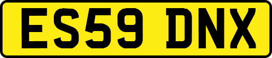 ES59DNX