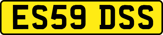 ES59DSS