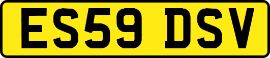 ES59DSV