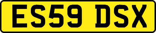 ES59DSX