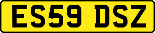 ES59DSZ
