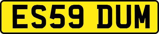 ES59DUM