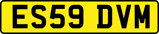 ES59DVM