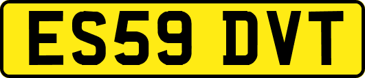 ES59DVT