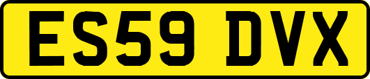 ES59DVX