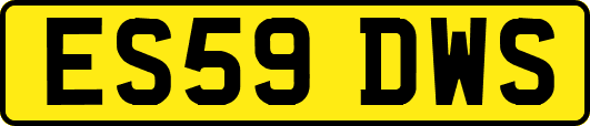 ES59DWS