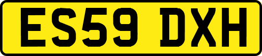ES59DXH