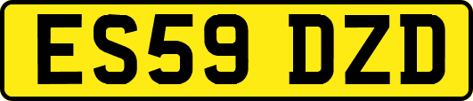 ES59DZD