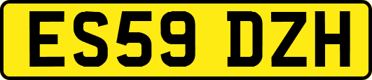 ES59DZH