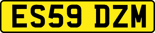 ES59DZM