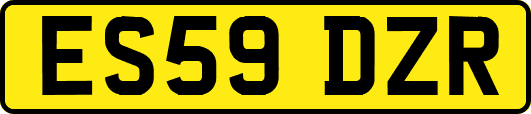 ES59DZR