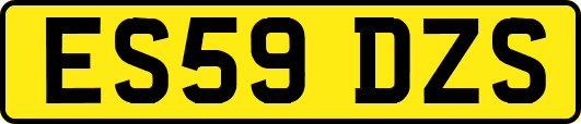 ES59DZS