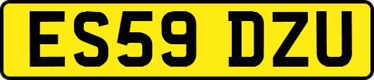 ES59DZU