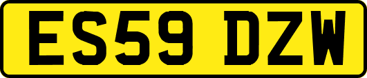 ES59DZW
