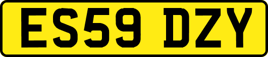 ES59DZY