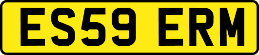ES59ERM