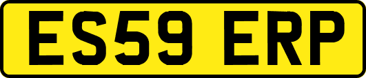 ES59ERP