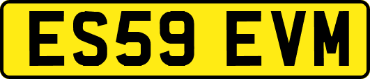 ES59EVM