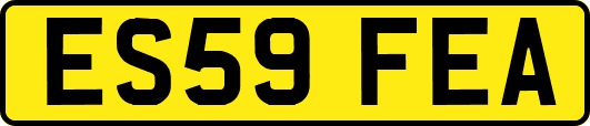 ES59FEA