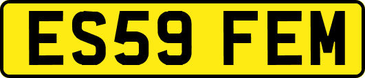 ES59FEM