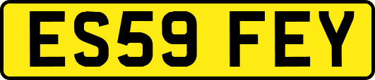 ES59FEY