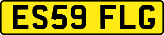 ES59FLG