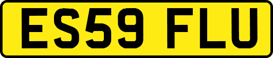ES59FLU