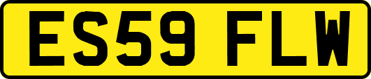 ES59FLW