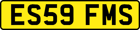 ES59FMS