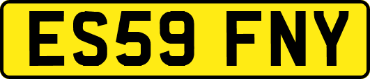 ES59FNY