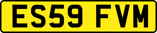 ES59FVM