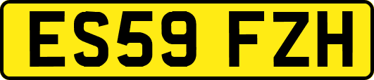 ES59FZH