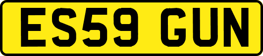 ES59GUN