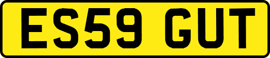 ES59GUT