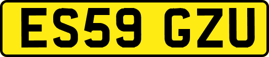 ES59GZU