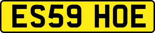 ES59HOE