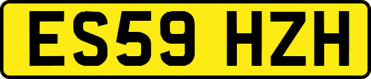 ES59HZH