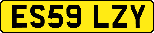 ES59LZY