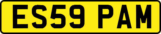 ES59PAM
