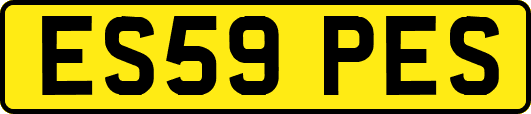 ES59PES