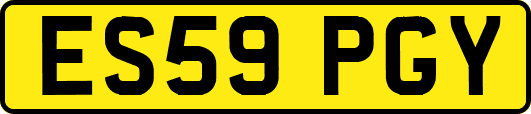 ES59PGY
