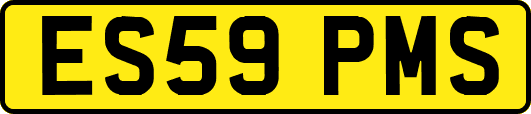ES59PMS