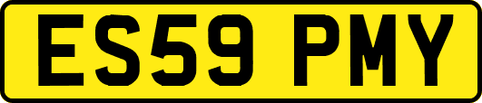 ES59PMY