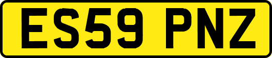 ES59PNZ