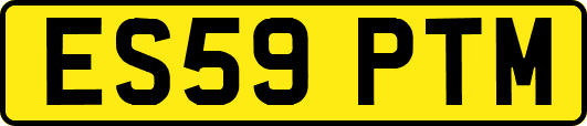 ES59PTM
