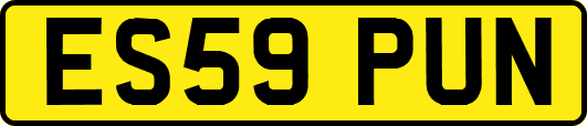 ES59PUN
