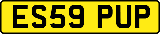 ES59PUP