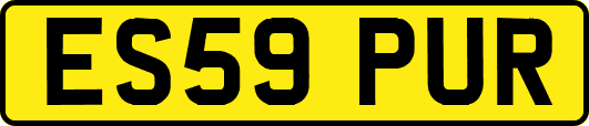 ES59PUR