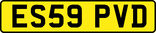 ES59PVD